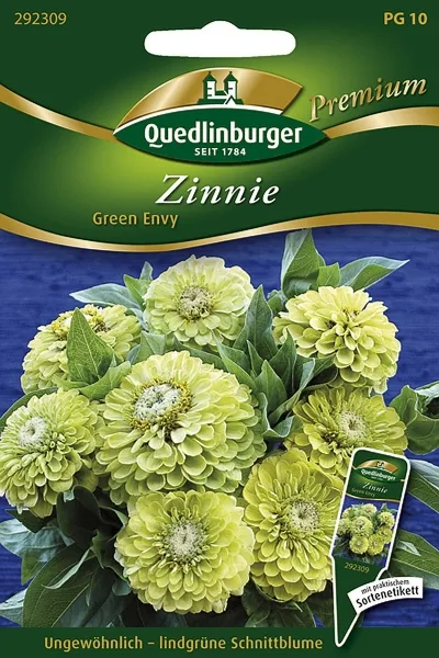 Quedlinburger Zinnie Green Envy - Blumensamen