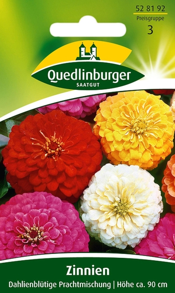 Quedlinburger Zinnien Dahlienblütige Prachtmischung - Blumensamen