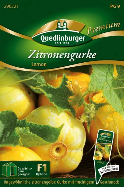Quedlinburger Zitronengurke Lemon - Gemüsesamen