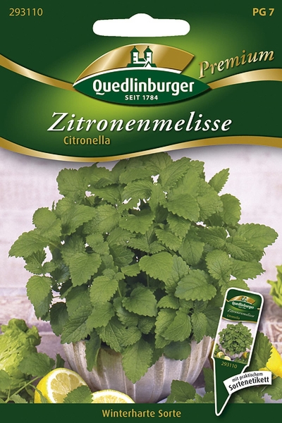 Quedlinburger Zitronenmelisse Citronella - Kräutersamen
