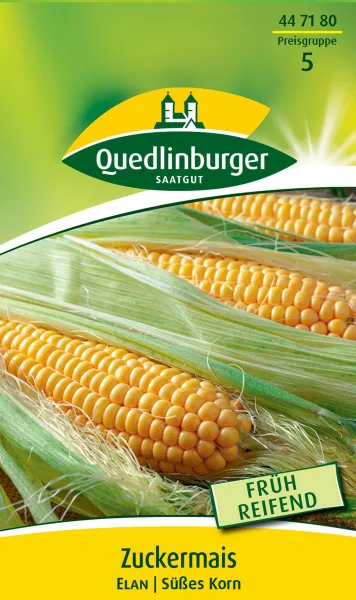 Quedlinburger Zuckermais Elan - Gemüsesamen
