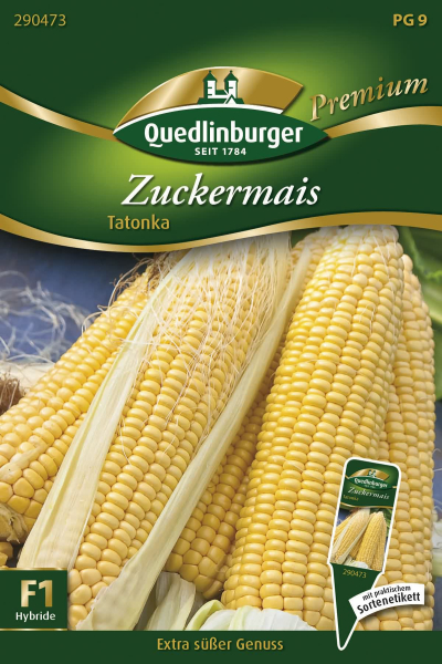 Quedlinburger Zuckermais Tatonka - Gemüsesamen