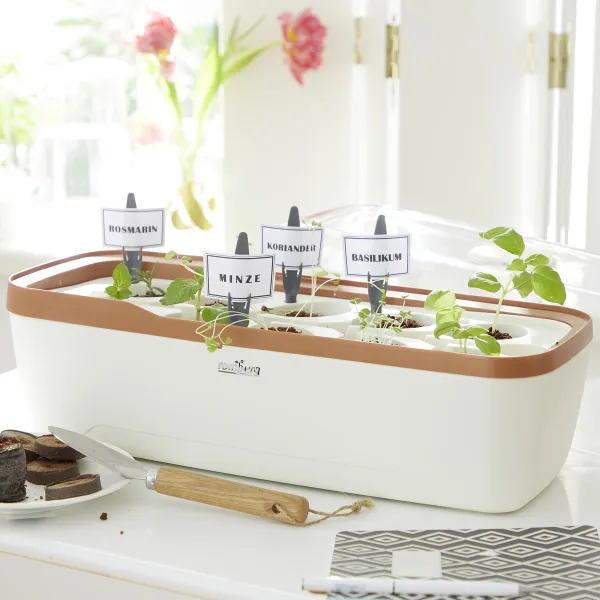 Romberg Bo Qube Gewächshaus & Pflanzkasten System 41x17x23 cm Creme-Kupfer