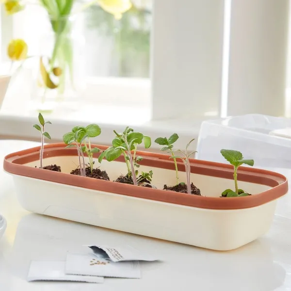 Romberg BoQube Anzuchtschale S Creme-Kupfer 28 x 12 cm