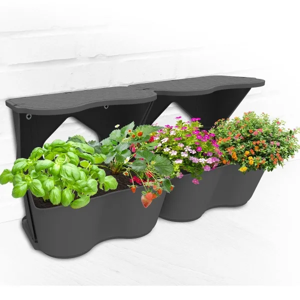 Romberg BoQube Flexi Garden Anthrazit 26 x 20 x 26 cm - 2er Pack
