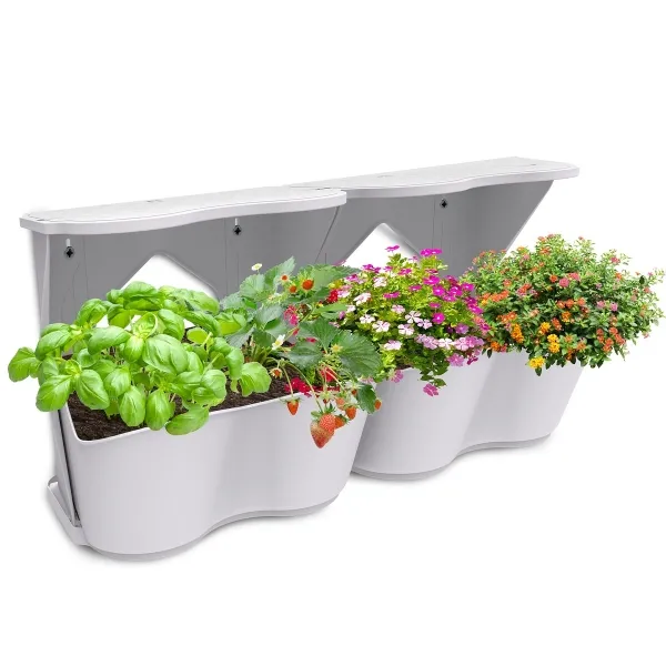 Romberg BoQube Flexi Garden Lichtgrau 26 x 20 x 26 cm - 2er Pack