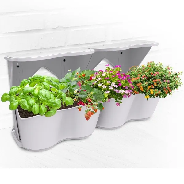 Romberg BoQube Flexi Garden Lichtgrau 26 x 20 x 26 cm - 2er Pack