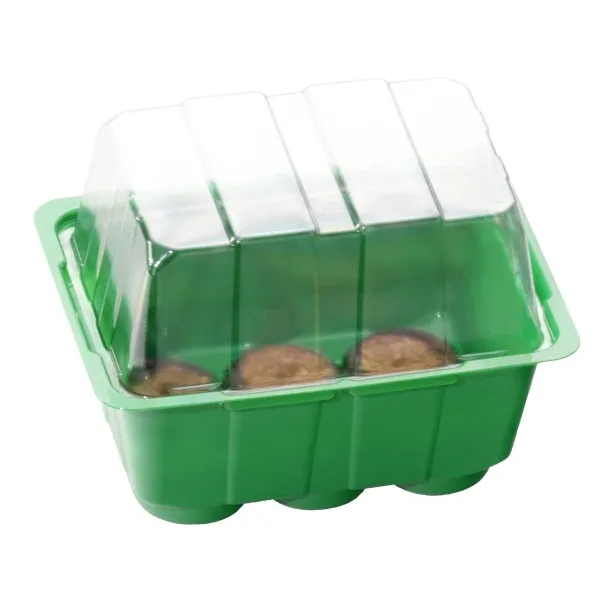 Romberg CLASSIC Anzuchthaus XS PLUS COCO Grün 16 x 11 cm & 6 Kokos-Quelltabletten