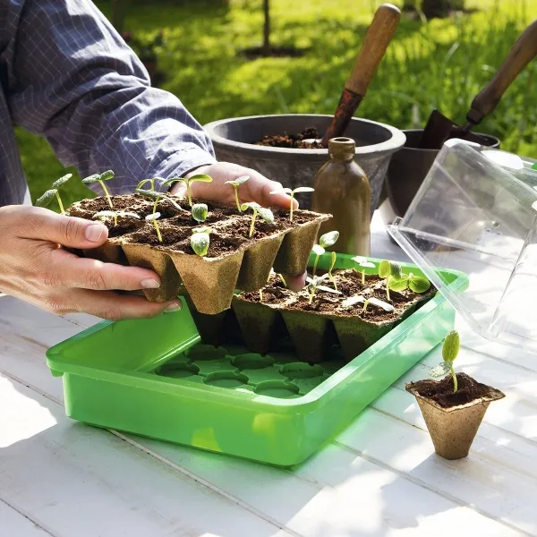 Romberg CLASSIC Anzuchttöpfe 5 cm quadratisch torffrei - 144er Pack