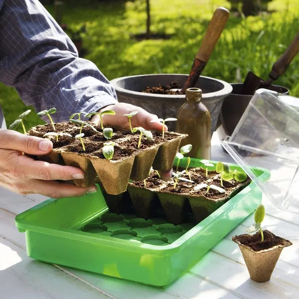 Romberg CLASSIC Anzuchttöpfe 5 cm quadratisch torffrei - 36er Pack