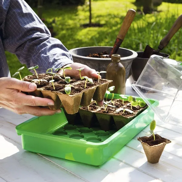 Romberg CLASSIC Anzuchttöpfe 6 cm quadratisch torffrei - 24er Pack