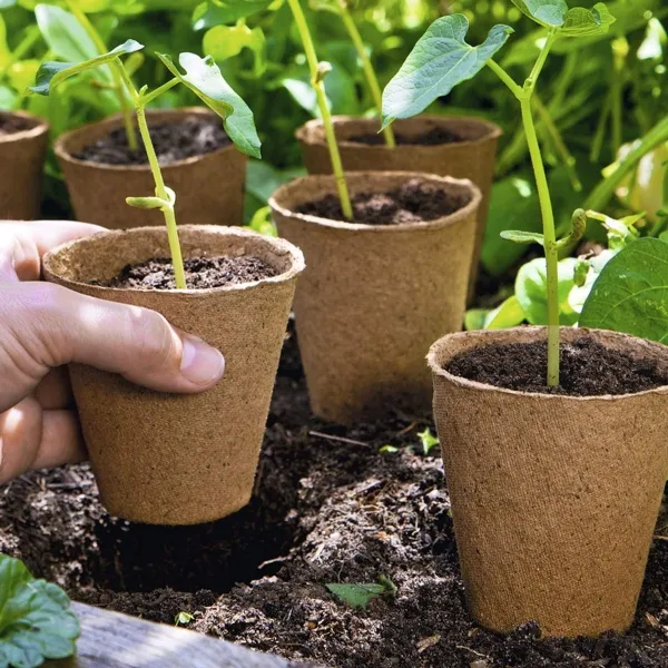 Romberg CLASSIC Anzuchttöpfe Ø 8 cm rund torffrei - 18er Pack