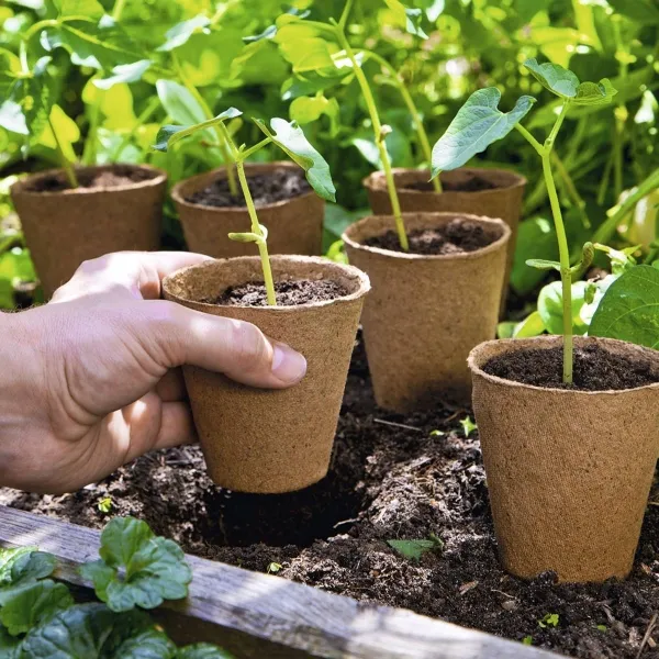 Romberg CLASSIC Anzuchttöpfe Ø 8 cm rund torffrei - 48er Pack