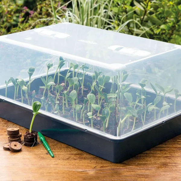 Romberg CLASSIC Gewächshaus XXL Schwarz mit Belüftung 59 x 39 cm