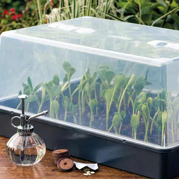 Romberg CLASSIC Gewächshaus XXL Schwarz mit Belüftung 59 x 39 cm