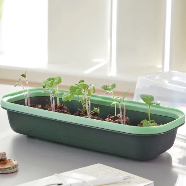 Romberg Green Edition BoQube Anzuchtschale S Moosgrün 28 x 12 cm