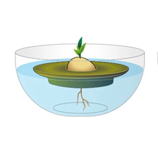 Romberg STYLE Avocado Kit Sommergrün Ø 15 cm - Kunststoff