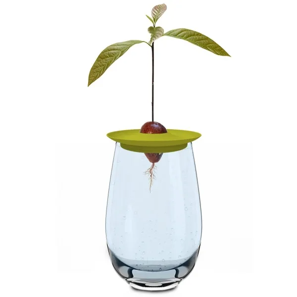 Romberg STYLE Avocado Kit Sommergrün Ø 15 cm - Kunststoff