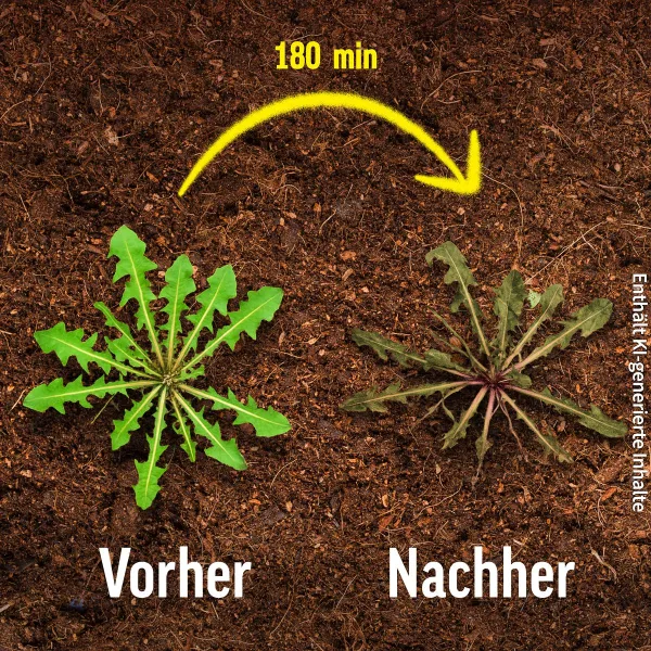 ROUNDUP® Express Konzentrat Unkrautfrei für bis zu je 500 m² - 400 ml x 2