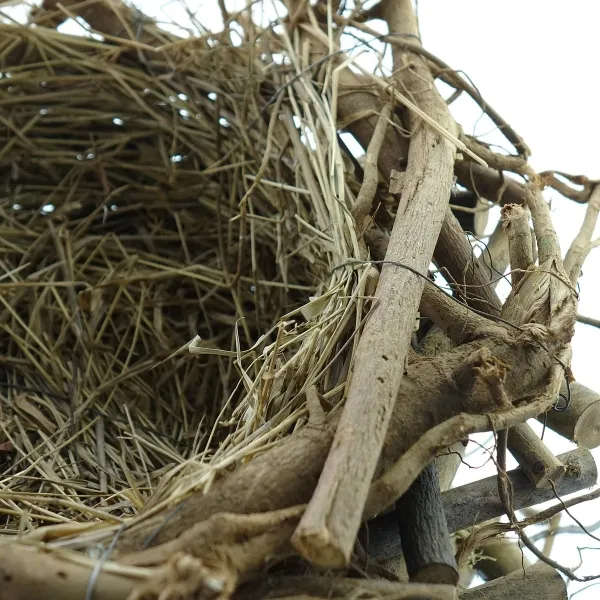 SCHEULEN Osternest aus natürlichen Materialien Ø ca. 20 cm - Holz & Stroh