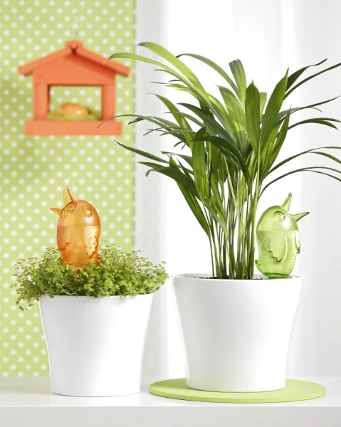 Scheurich Bördy® Bewässerungshilfe M Transparent - Clear klar 0,22 Liter 220 ml