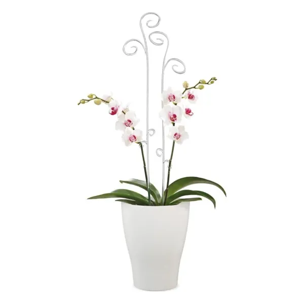 Scheurich Orchideentopf 608 Panna - Ø 10,1 cm, Höhe 13 cm