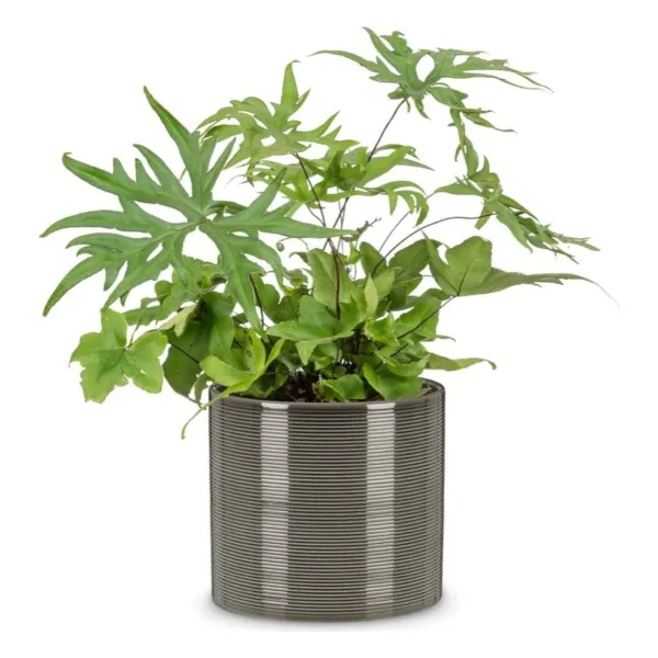 Scheurich Übertopf 828 Glass Grey - Ø 10 cm, Höhe 9,1 cm