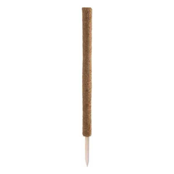 Siena Garden Kokos-Rankstab 80 cm