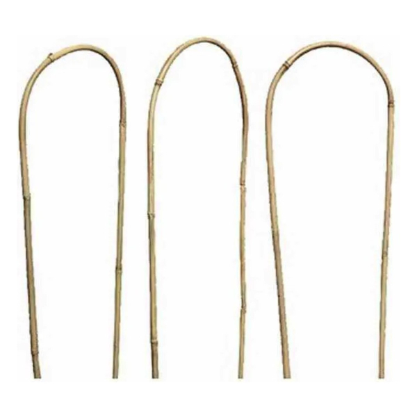 Siena Garden Rankhilfe Bambus U-Form - 60 cm, 3er Bund