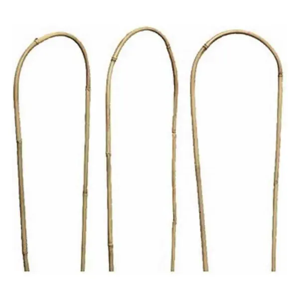 Siena Garden Rankhilfe Bambus U-Form - 60 cm, 3er Bund