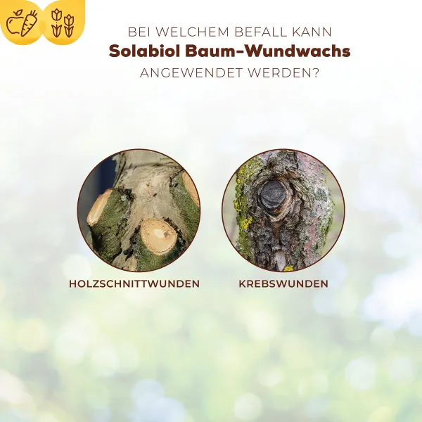 Solabiol® Baum-Wundwachs Wunderverschluss und Veredelung - 300 Gramm