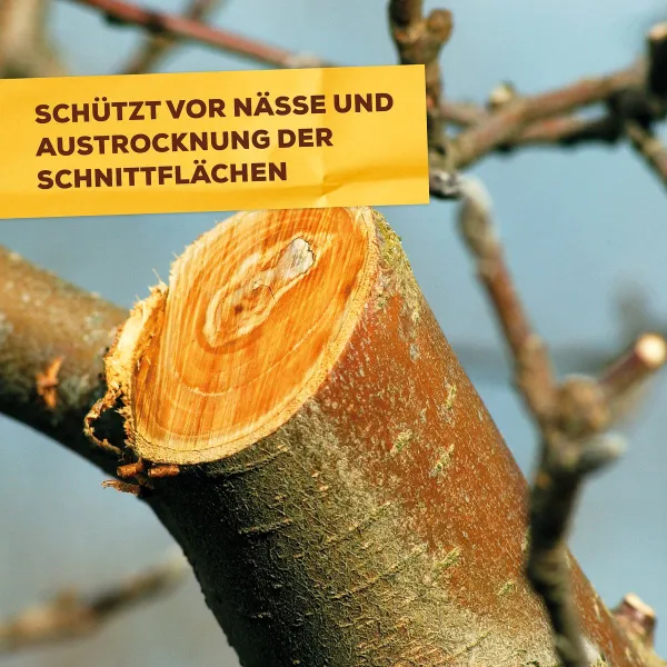 Solabiol® Baum-Wundwachs Wunderverschluss und Veredelung - 300 Gramm