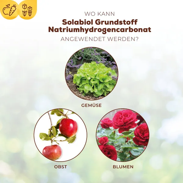 Solabiol® Bio Grundstoff Natriumhydrogencarbonat für bis zu 100 Liter - 350 Gramm