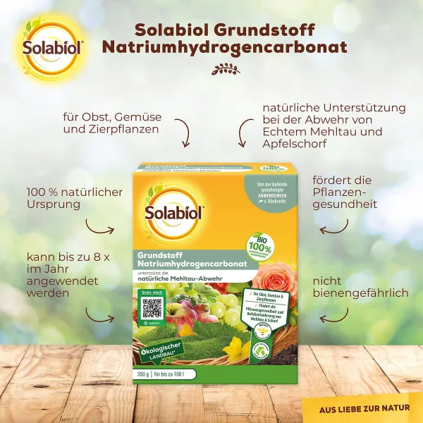 Solabiol® Bio Grundstoff Natriumhydrogencarbonat für bis zu 100 Liter - 350 Gramm