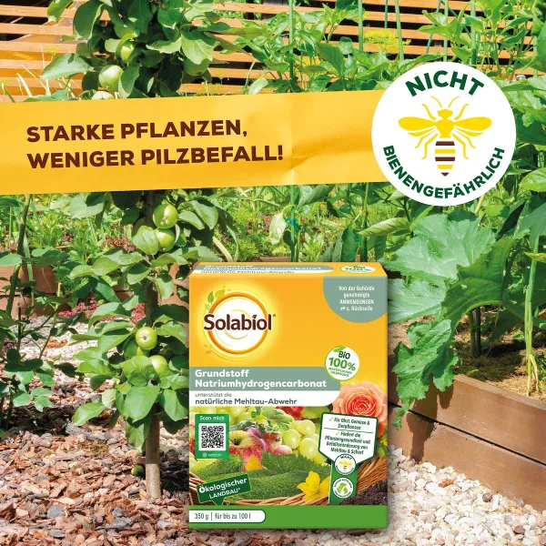 Solabiol® Bio Grundstoff Natriumhydrogencarbonat für bis zu 100 Liter - 350 Gramm