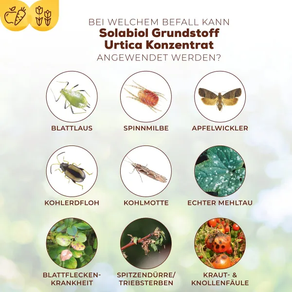 Solabiol® Bio Grundstoff Urtica Konzentrat für 5 Liter Spritzbrühe - 1 Liter