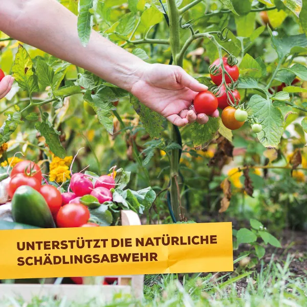 Solabiol® Bio Grundstoff Urtica Spray anwendungsfertig - 1 Liter