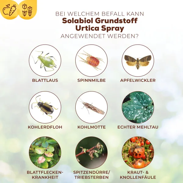 Solabiol® Bio Grundstoff Urtica Spray anwendungsfertig 1 Liter Sprühflasche x 2