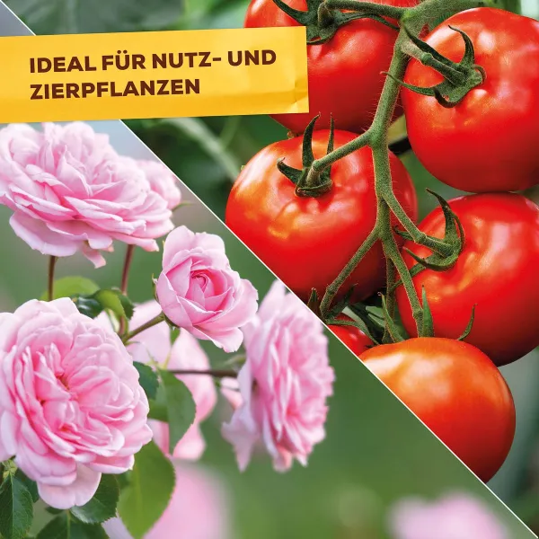 Solabiol® Bio Grundstoff Urtica Spray anwendungsfertig 1 Liter Sprühflasche x 2