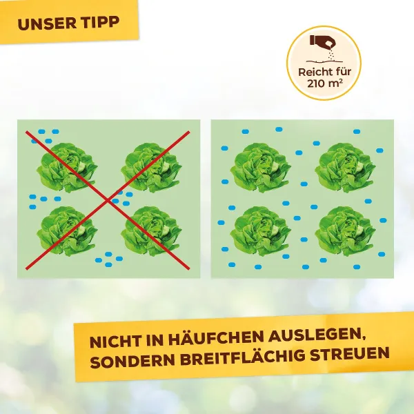 Solabiol® Bio Schneckenkorn für bis zu 210 m² - 800 Gramm