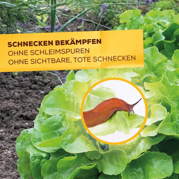 Solabiol® Bio Schneckenkorn für bis zu 210 m² - 800 Gramm