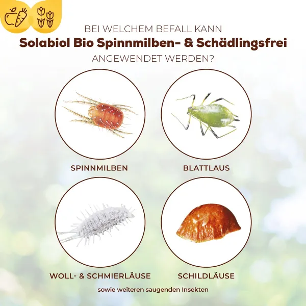 Solabiol® Bio Spinnmilben- & Schädlingsfrei für 25 Liter Spritzbrühe - 250 ml