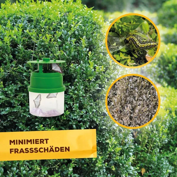 Solabiol® Buchsbaumzünsler-Falle inkl. 2 Pheromonspritzen für bis zu 180 m²