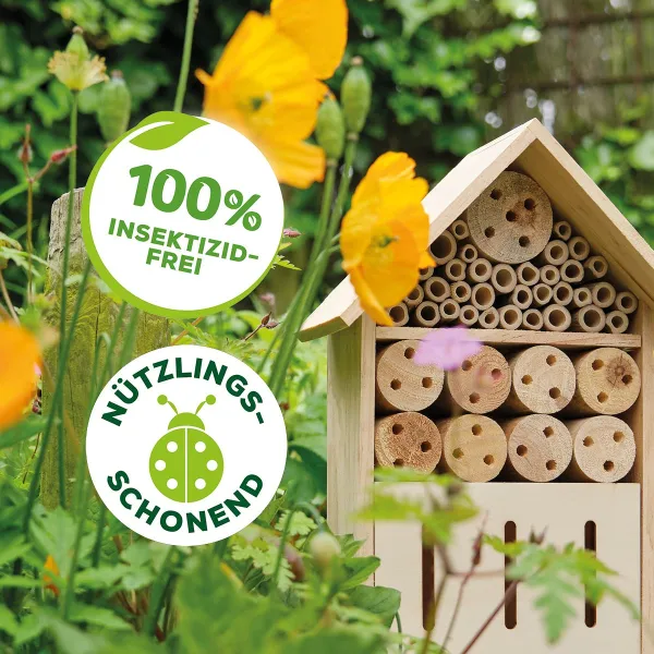 Solabiol® Buchsbaumzünsler-Falle inkl. 2 Pheromonspritzen für bis zu 180 m²