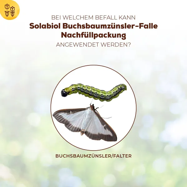 Solabiol® Buchsbaumzünsler-Falle Nachfüllpackung
