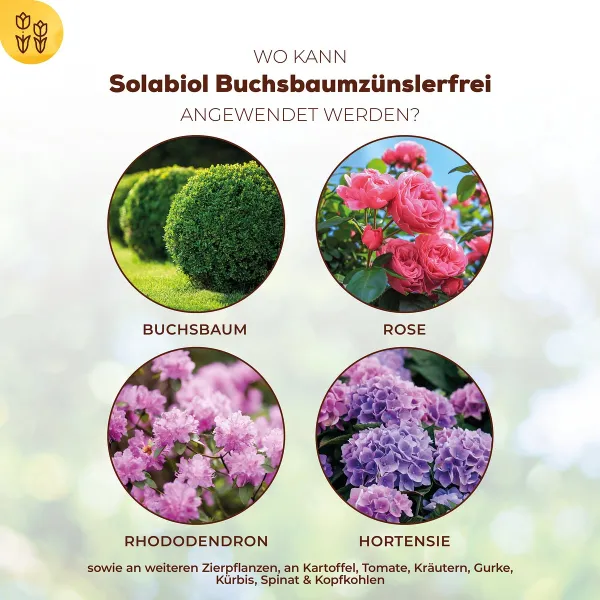 Solabiol® Buchsbaumzünslerfrei Konzentrat für bis zu 17 Liter - 50 ml