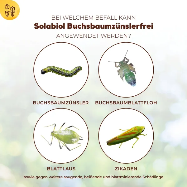 Solabiol® Buchsbaumzünslerfrei Konzentrat für bis zu 17 Liter - 50 ml