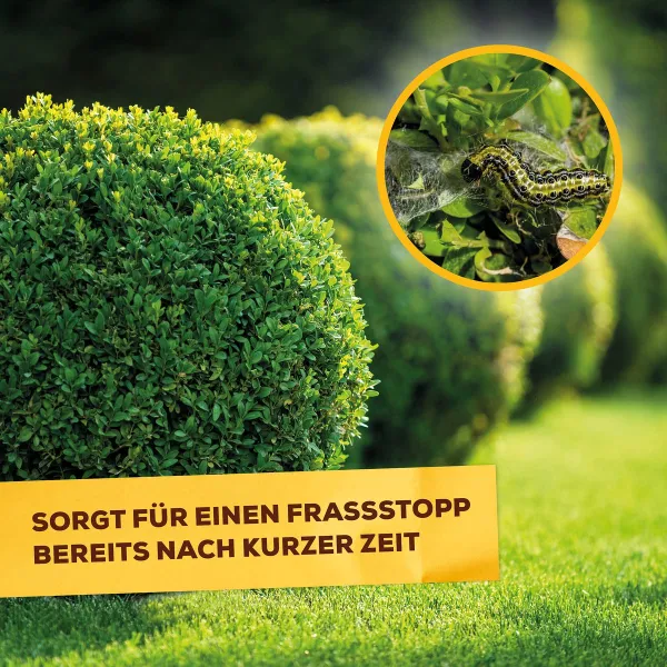 Solabiol® Buchsbaumzünslerfrei Konzentrat für bis zu 17 Liter - 50 ml