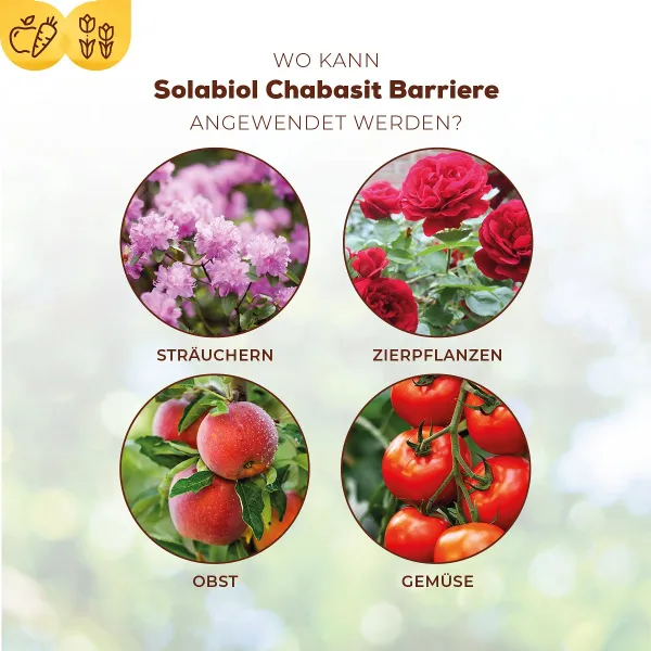 Solabiol® Chabasit Schädlingsbarriere für 80 Liter Spritzbrühe - 400 g