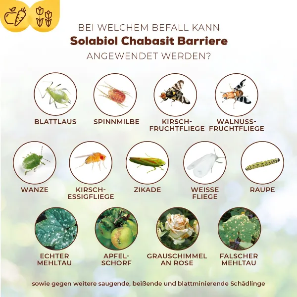 Solabiol® Chabasit Schädlingsbarriere für 80 Liter Spritzbrühe - 400 g